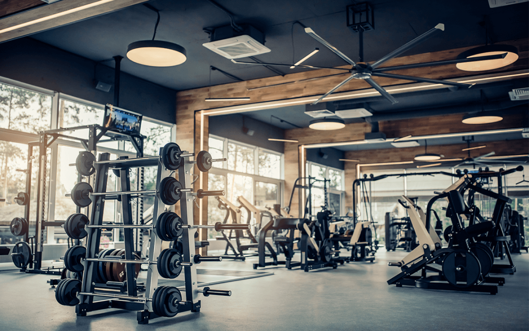 Choisir la Meilleure Machine Cardio Professionnelle pour Votre Entraînement